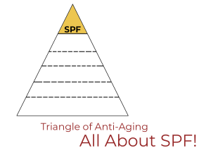 Read more about the article Triangle of Anti-Aging: SPF